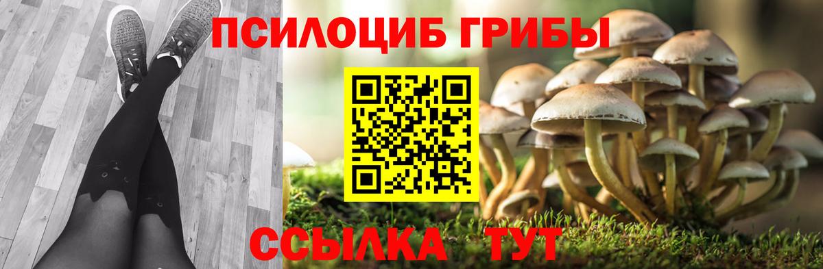 Вязьма  Галлюциногенные грибы ЛСД  Вход с VPN 
